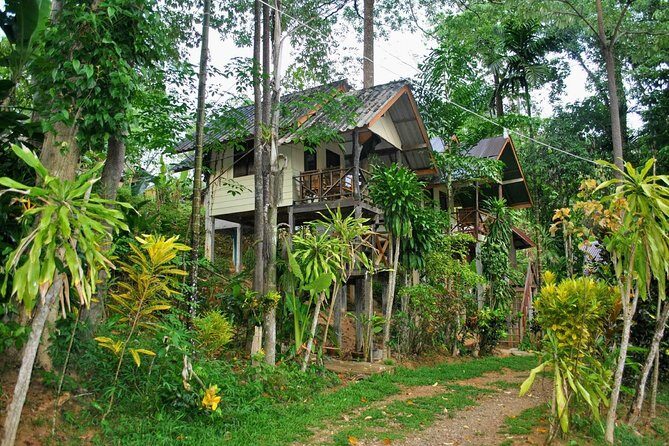 1 Day Khao Sok Jungle Safari and 2 Days Cheow Lan Lake Explorer from Krabi - Food, cabins, and what basic comfort really means