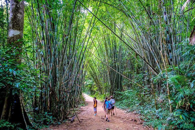 1 Day Khao Sok Jungle Safari and 2 Days Cheow Lan Lake Explorer from Krabi - Weather changes and how to keep your day on track