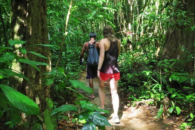 2-Day Khao Sok Jungle Safari from Krabi - Your jungle base: a fan bungalow with mosquito net peace of mind