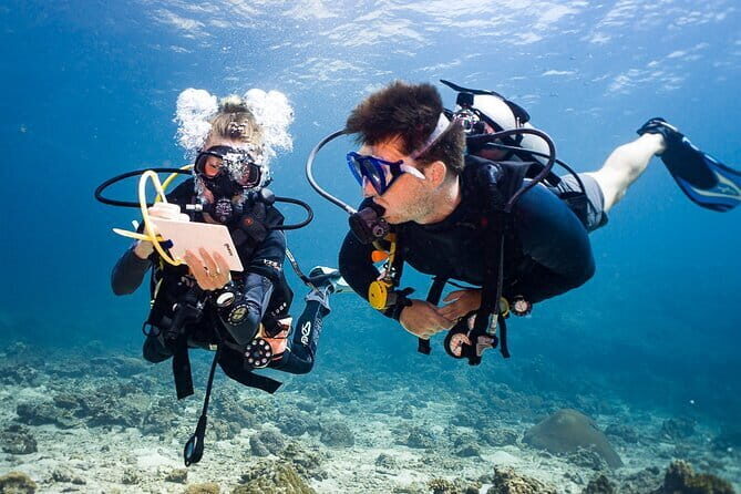 2 Days PADI Advanced Course from Phi Phi - Key Things I’d Focus On Before You Book