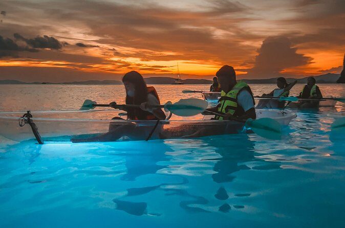 2-Hour Clear Kayak Illuminated Night Tour in Krabi - The highlight: bioluminescent plankton when darkness is right