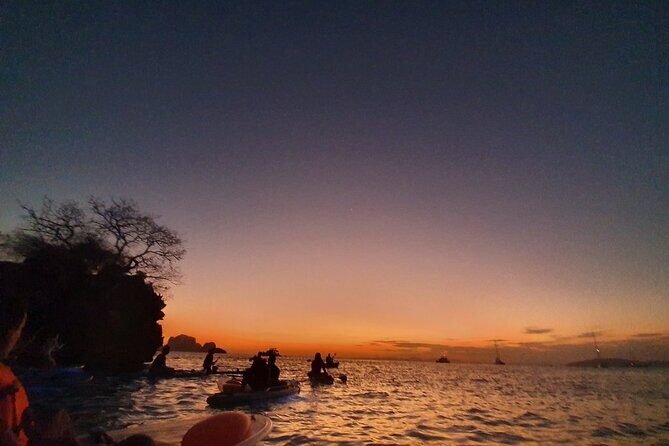 2-Hour Clear Kayak Illuminated Night Tour in Krabi - Who should book this Railay clear kayak night tour