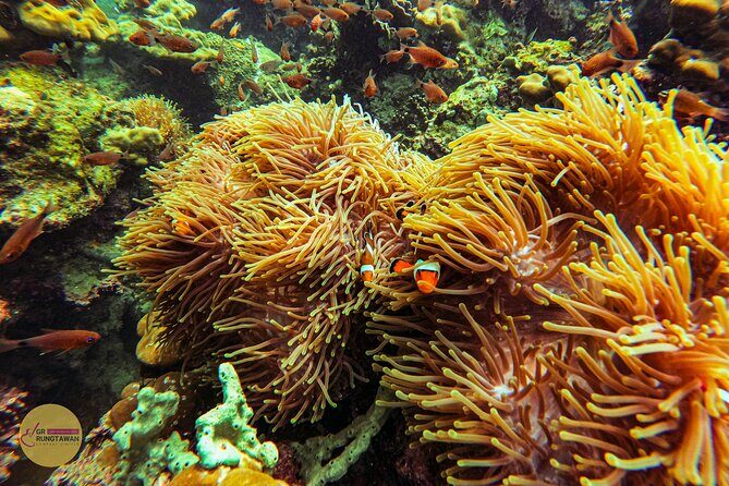 4 Islands Day Tour by Speed Boat from Ao Nang, Krabi - How the Included Lunch Works (And Why It Matters)