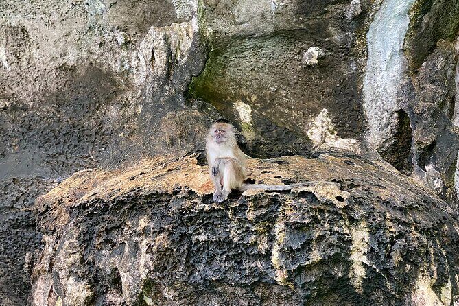6 Hours Private Tour Around Phi Phi Islands From Phi Phi - Price and value math: $187.49 per group plus park fees