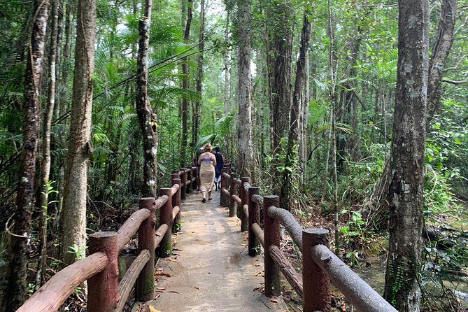 All day Krabi Jungle Tour (Hot Spring Water, Emerald Pool, Tiger Cave Temple) - Why this Krabi day works: hot springs, swimming, and serious stairs