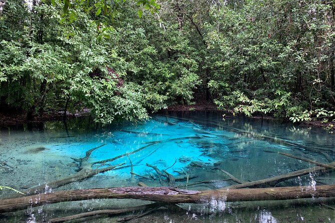 All day Krabi Jungle Tour (Hot Spring Water, Emerald Pool, Tiger Cave Temple) - Timing, crowds, and how to plan your energy