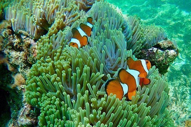 Amazing Krabi 7 Islands One Day Snorkeling Tour By Big Longtail Boat - Tup and Tub Islands: sandbank magic and good visibility