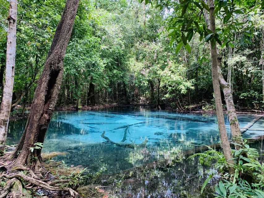 Ao Nang: Hot Spring, Emerald Pool & Tiger Cave Temple Tour - Should you book the Ao Nang Hot Spring, Emerald Pool, and Tiger Cave Temple tour?