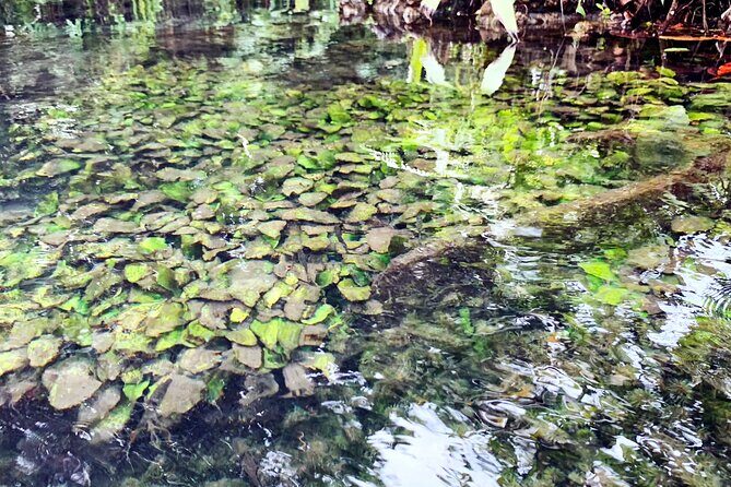 Ao Nang Kayaking at Klong Rud with Hotel Transfer - Who Should Book This Kayaking Trip