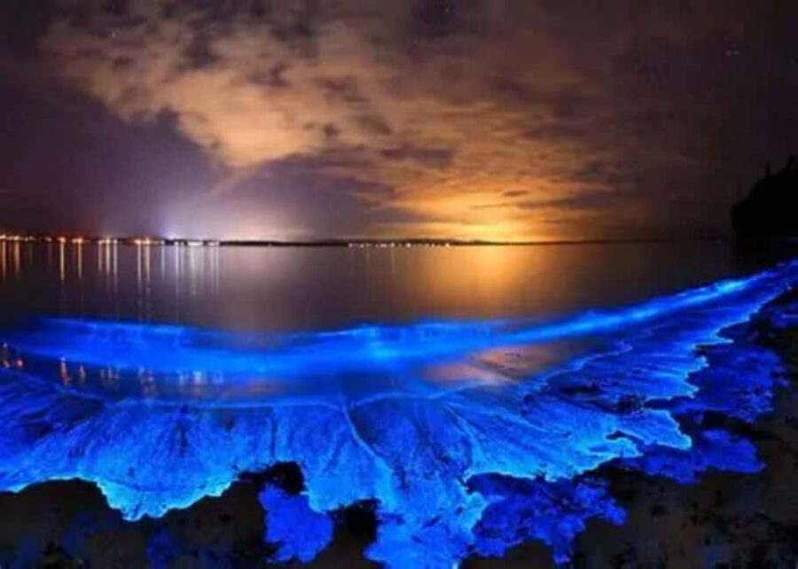 Ao Nang Night Tour – Swim with bioluminescent plankton - Price and value: is $29 worth it?