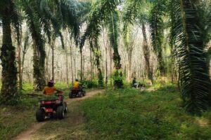 ATV Jungle Adventure in Krabi with Roundtrip Transfer - Where to meet in Ao Nang (and why location matters)