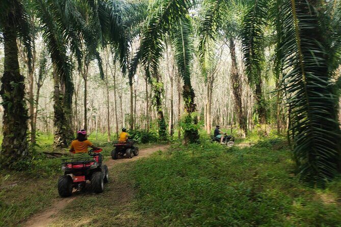 ATV Jungle Adventure in Krabi with Roundtrip Transfer - Where to meet in Ao Nang (and why location matters)