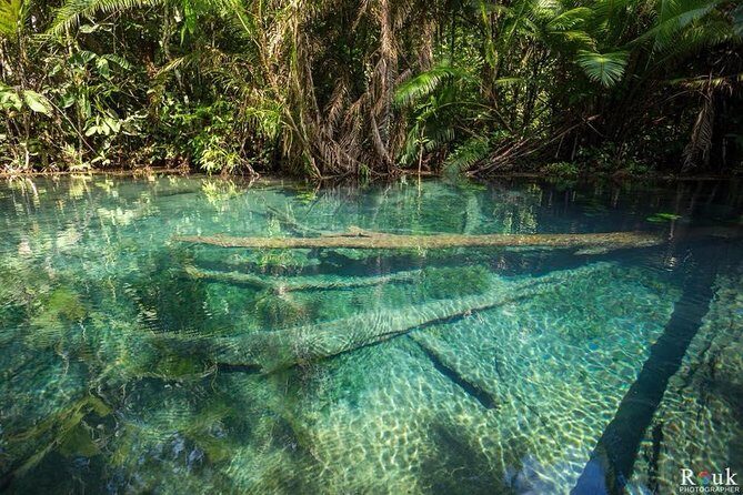 ATV & Kayaking in Hidden Freshwater Lagoon, Unseen Krabi Half Day Trip - Klong Naam Sai Kayak: Clear Water, Forest Canals, Then a Freshwater Lagoon Swim