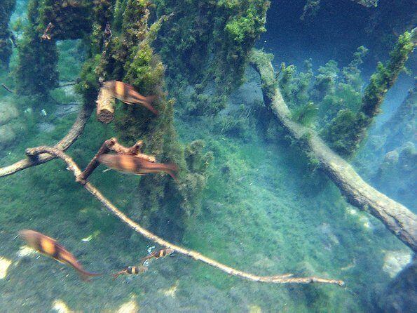 ATV & Kayaking in Hidden Freshwater Lagoon, Unseen Krabi Half Day Trip - Who Should Book This ATV and Freshwater Lagoon Trip