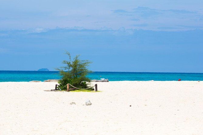 Bamboo Island, Maya Beach and Phi Phi Islands One Day Tour from Krabi - Monkey Bay: swim, relax, and a final snorkeling window