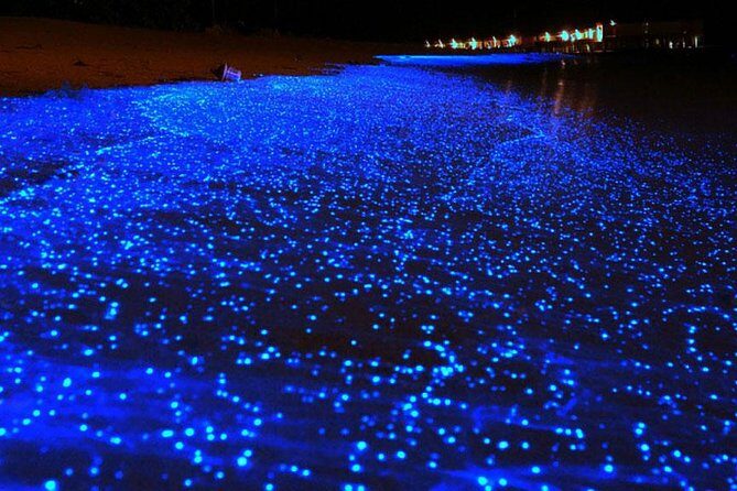 Bio Luminescent Swimming From Krabi - Getting picked up for a 2:00 pm start in Krabi