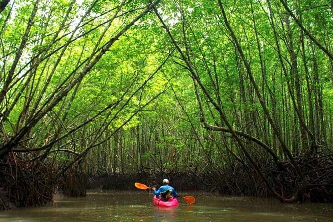 Crystal Clear Kayak Tour in Krabi - Logistics that matter: meeting point, mobile ticket, and the “moderate fitness” bit