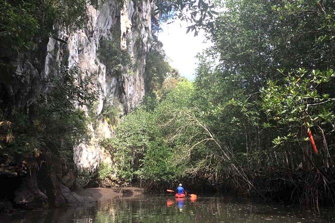 Deep Mangrove and Canyon Kayak Tour in Krabi - Where This Kayak Tour Fits in Your Krabi Plan