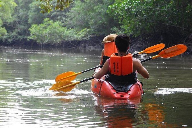 Deep Mangrove and Canyon Kayak Tour in Krabi - Two Hours on the Water: What the Route Feels Like