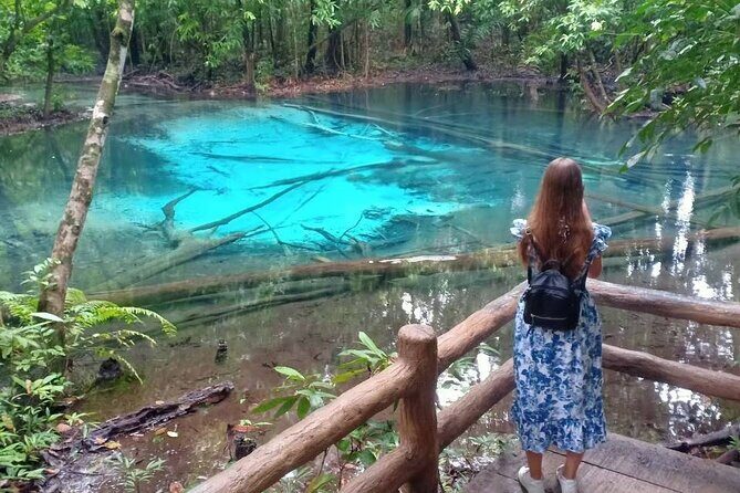 Discover Krabi - Emerald Pool, Hot Springs & Tiger Cave Temple - Emerald Pool (Sa Morakot): Forest Hike, Then Swim