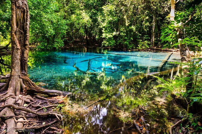 ECO Premium Jungle Hot Springs and Temple Tour - Wat Tham Sua (Tiger Cave Temple): Steps, Monks, and a Real View