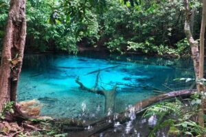 Emerald Pool: Jungle Tour, Private Full Day with Lunch - Minivan pickup and the ride to Emerald Pool