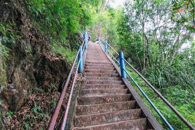 Emerald Pool: Jungle Tour, Private Full Day with Lunch - Who this private Emerald Pool tour is best for
