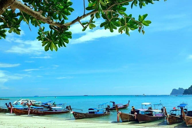 Explore Phi Phi Islands by Ferry – Snorkeling & Lunch Included - Standard vs First Class vs Premium: deciding what’s worth paying