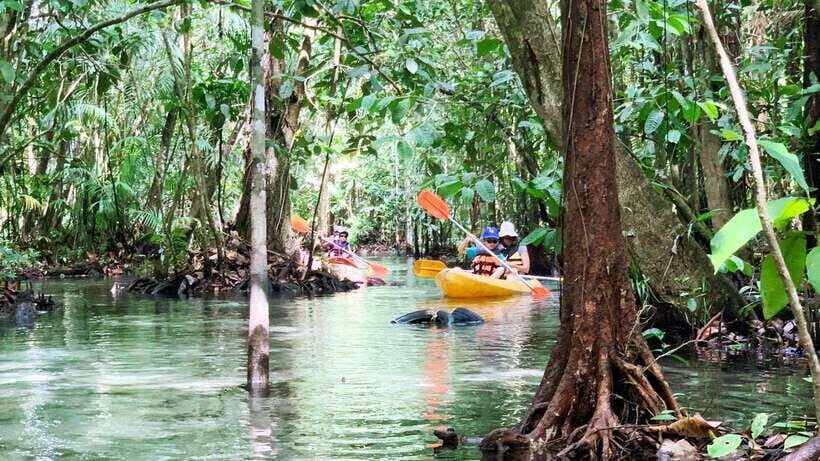 From Ao Nang: Kayaking at Klong Rud with Hotel Transfers - The lagoon swim at Klong Nam Sai: where the temperature drops and the views sharpen