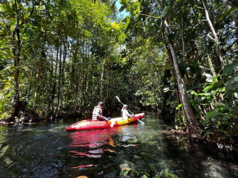 From Ao Nang: Kayaking at Klong Rud with Hotel Transfers - Kayaking through the forest: calm routes, real nature, and beginner-friendly pacing