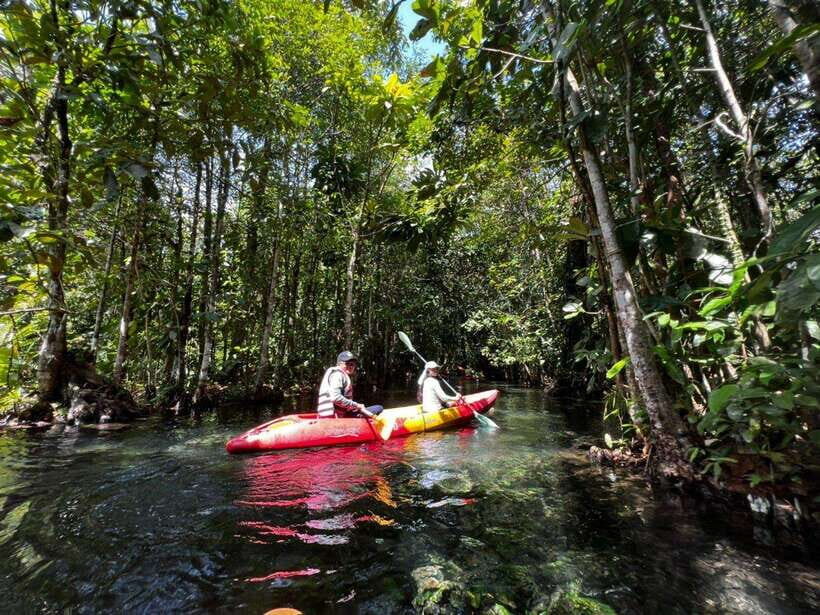 From Ao Nang: Kayaking at Klong Rud with Hotel Transfers - Kayaking through the forest: calm routes, real nature, and beginner-friendly pacing