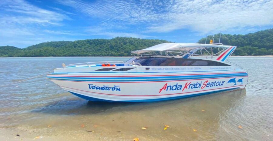 From Krabi: Phi Phi Island Full-Day Private Speed Boat Tour - Quick hits from this Phi Phi private speedboat day