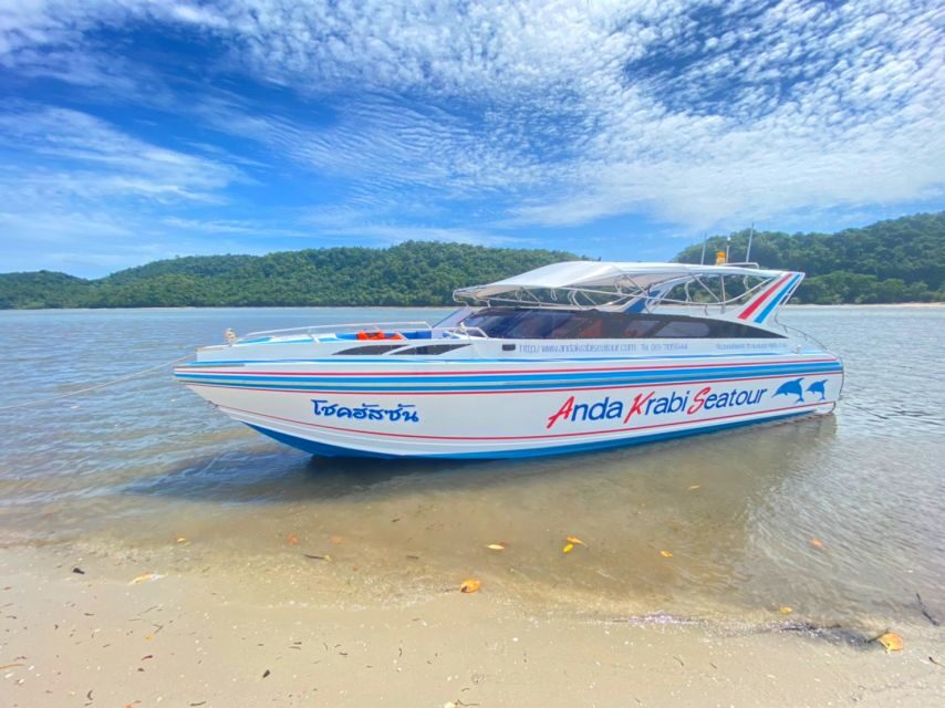 From Krabi: Phi Phi Island Full-Day Private Speed Boat Tour - Why this private speedboat day fits Phi Phi’s reality