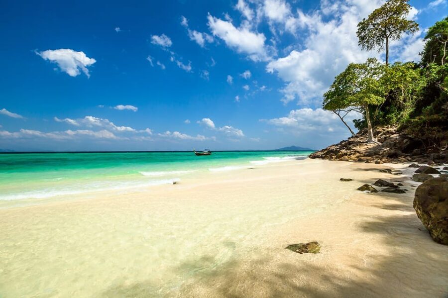 From Krabi: Phi Phi Islands Speedboat Day Tour - Key things to know before you go