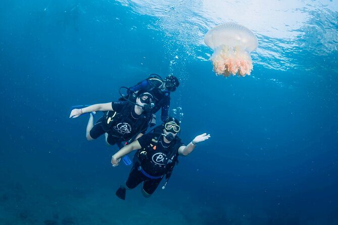 From Phi Phi Don | Half Day Discover Scuba Diving 2 Dives - Half-day timing on Phi Phi: what your schedule feels like