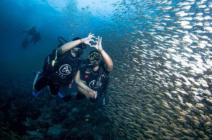 From Phi Phi Don | Half Day Discover Scuba Diving 2 Dives - Stop 5: Maya Bay for views and a reset between water moments