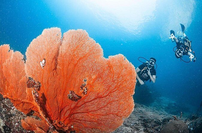 From Phi Phi Don | Half Day Discover Scuba Diving 2 Dives - Lunch, tea/coffee, and snacks: the comfort part that keeps the day enjoyable
