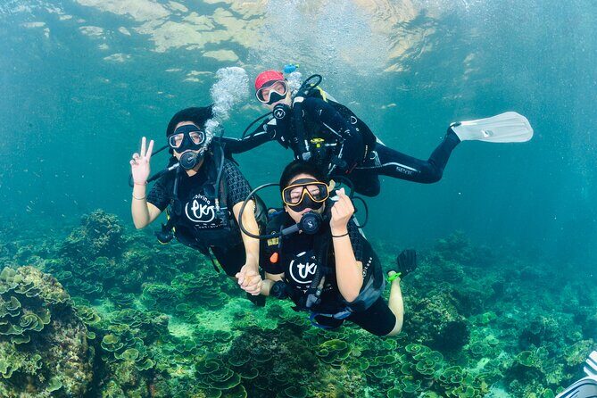From Phi Phi Don | Half Day Discover Scuba Diving 2 Dives - Stop 1: Ko Phi Phi Don reef time and the wildlife you came for