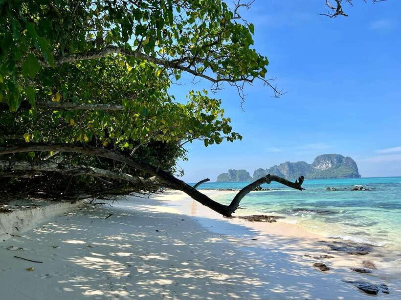 From Phi Phi: Full Day 7 Island Tour by Longtail with Sunset - Monkey Beach and Viking Cave: quick stops, real atmosphere