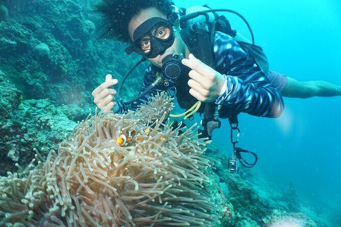 From Phi Phi: Half Day Discover Scuba (2 Dives) - Lunch and Break Time: The Part People Forget to Plan For