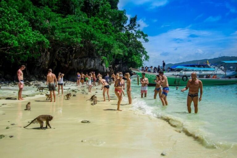 From Phi Phi: Half-Day Longtail Boat Tour with Snorkeling - Getting There: The Meeting Point Is on Koh Phi Phi
