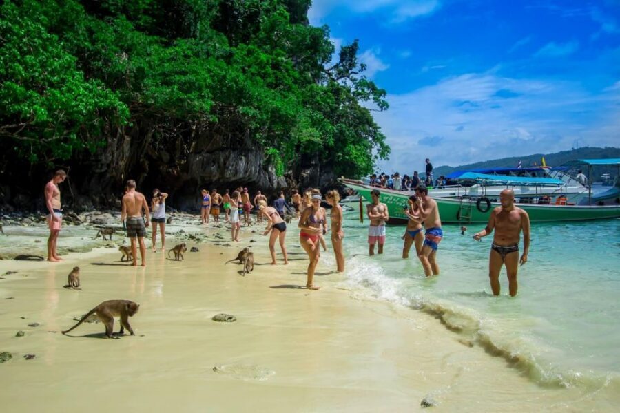 From Phi Phi: Half-Day Longtail Boat Tour with Snorkeling - Getting There: The Meeting Point Is on Koh Phi Phi