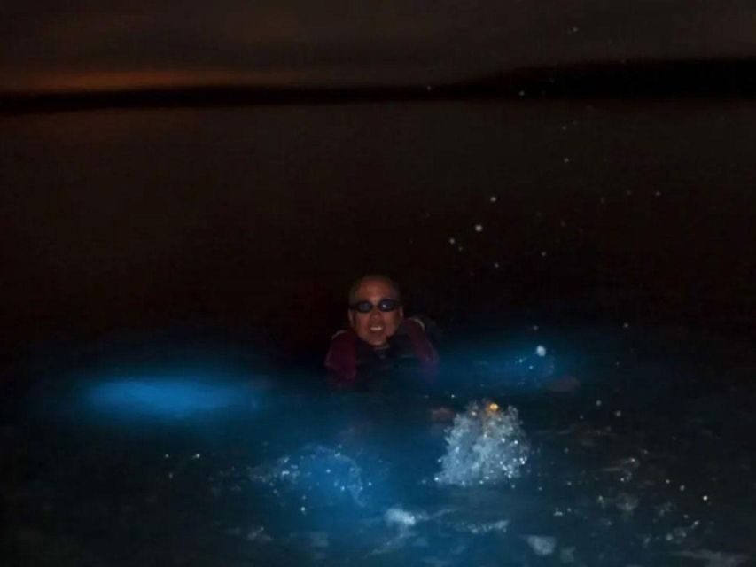From Phi Phi: Sunset & Bioluminescent Plankton Snorkel Tour - Phi Phi in One Session: Sunset, Snorkel, Plankton
