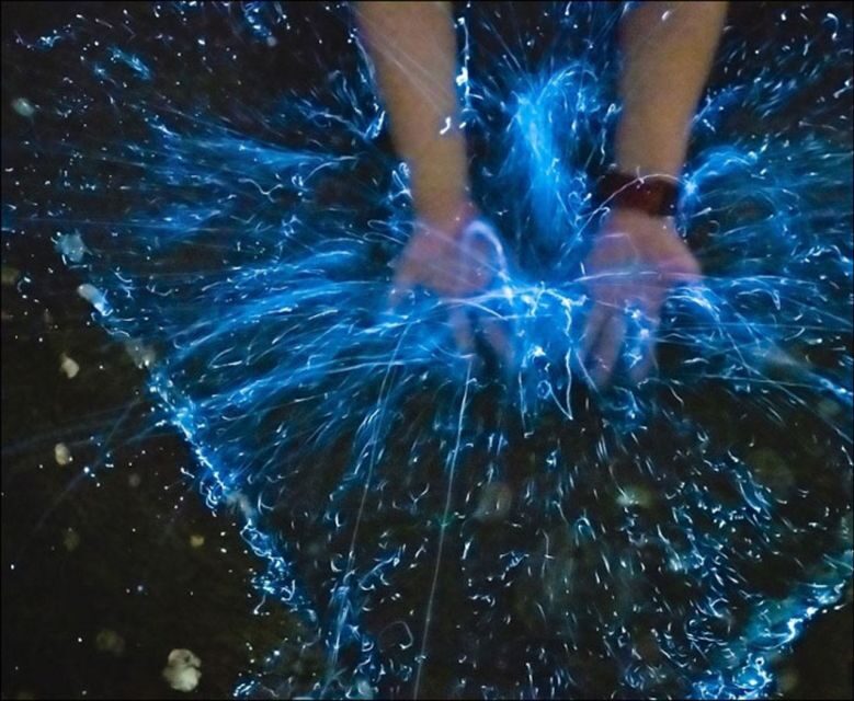 From Phi Phi: Sunset & Bioluminescent Plankton Snorkel Tour - Bioluminescent Plankton After Dark: The Night Magic, With a Big Caveat