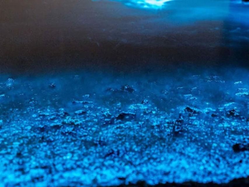 From Phi Phi: Sunset & Bioluminescent Plankton Snorkel Tour - Price and Real Value: $31, Plus the National Park Fee