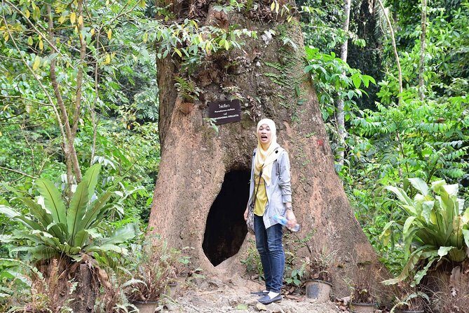 Full-Day Jungle Tour Including Tiger Cave Temple, Crystal Pool and Krabi Hot Springs - Guide Quality and Safety: English Support and Realistic Expectations