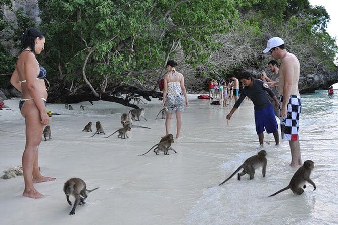 Full Day & Sunset Phi Phi Islands Tour From Phi Phi by Speedboat - Sunset at 6:30pm: plankton glow and a photo-friendly finish