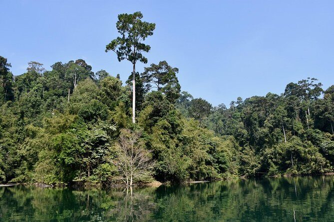 Full-Day Tour to Cheow Lan Lake in Khao Sok National Park from Krabi - Why this Cheow Lan Lake day trip from Krabi feels like a smart use of time