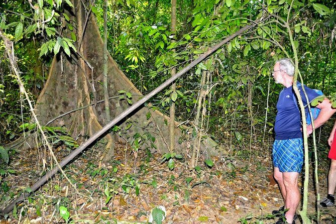 Full-Day Tour to Cheow Lan Lake in Khao Sok National Park from Krabi - Cheow Lan Lake long-tail boat cruise: the part most people remember