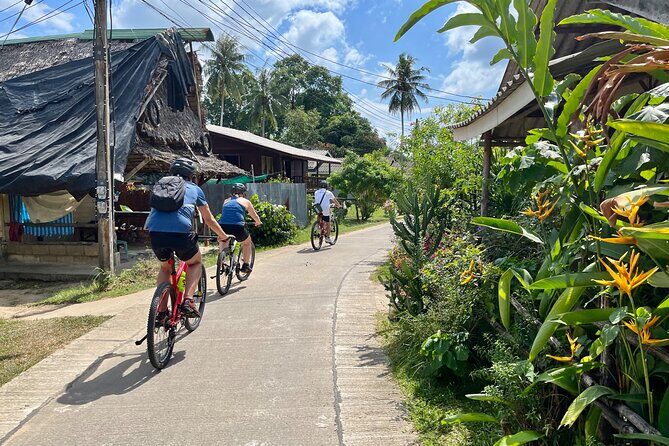 Guided Mountain Biking - Grand Tour - Trails of Ao Nang - Key Things I’d Circle Before Booking